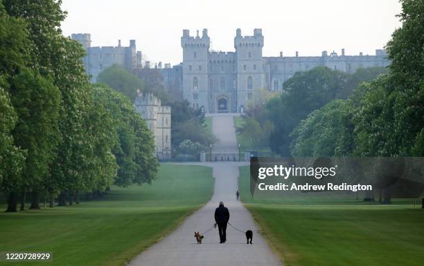 Man is seen walking two dogs on The Long Walk with Windsor Castle in the background on April 24, 2020 in Windsor, England . The British government...