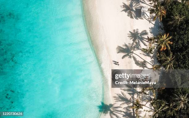 tropical island palm tree beach from above - waters edge stock pictures, royalty-free photos & images