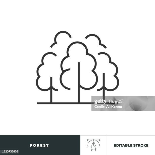 forest editable stroke icon - forest icon stock illustrations