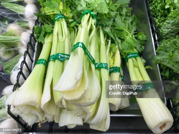 fresh celeries at market in ginza - selderij stockfoto's en -beelden