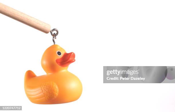 hooking toy rubber duck - duck bildbanksfoton och bilder