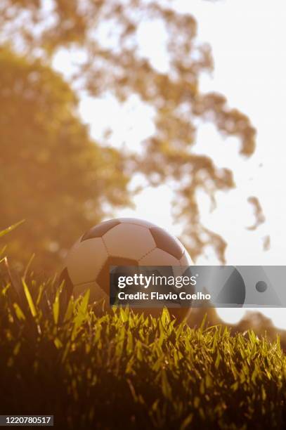 soccer ball on the grass with lens flare effect caused by the sun light - backyard football stock-fotos und bilder