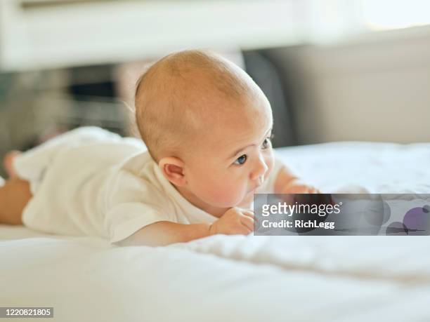 日系アメリカ人の赤ちゃん - 這う ストックフォトと画像