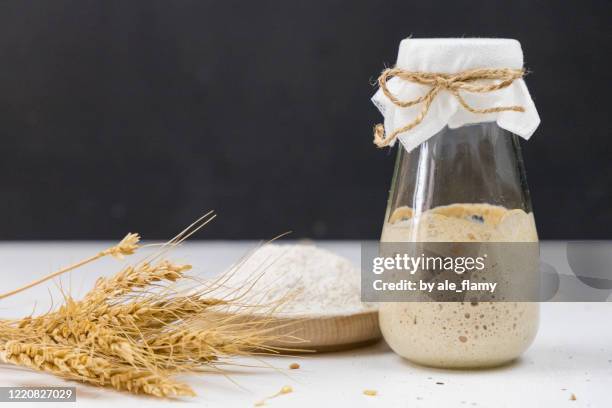 sourdough starter - oats stock-fotos und bilder