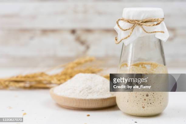 sourdough starter - sourdough bread stock pictures, royalty-free photos & images