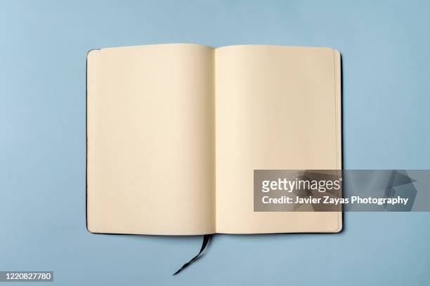 blank book - journal imagens e fotografias de stock