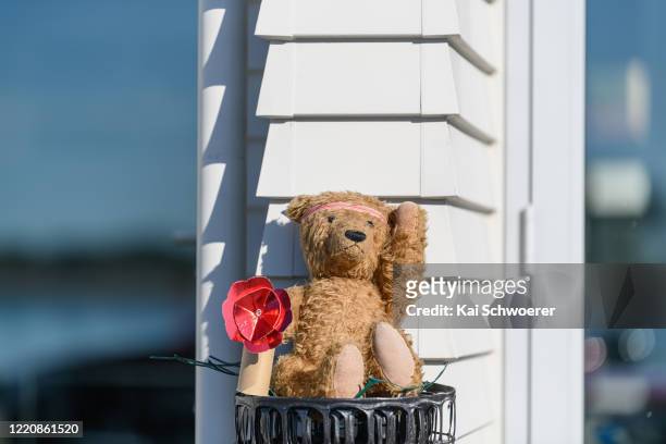 Teddy bear is seen holding a poppy on April 25, 2020 in Christchurch, New Zealand. Inspired by the Michael Rosen children’s book We’re Going on a...