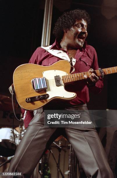 Albert Collins performs during JJs Blues Festival at Santa Clata County Fairgrounds on August 26, 1990 in San Jose, California.