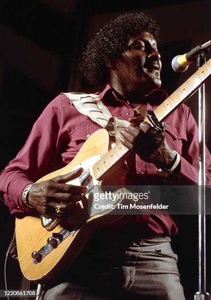 Albert Collins performs during JJs Blues Festival at Santa Clata County Fairgrounds on August 26, 1990 in San Jose, California.