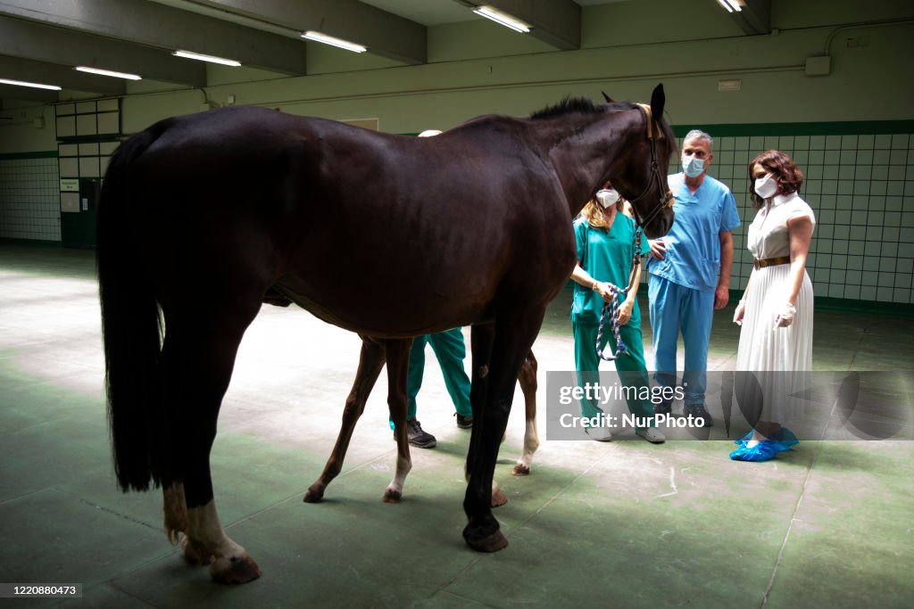 Diaz Ayuso Visits The Clinical Veterinary Hospital