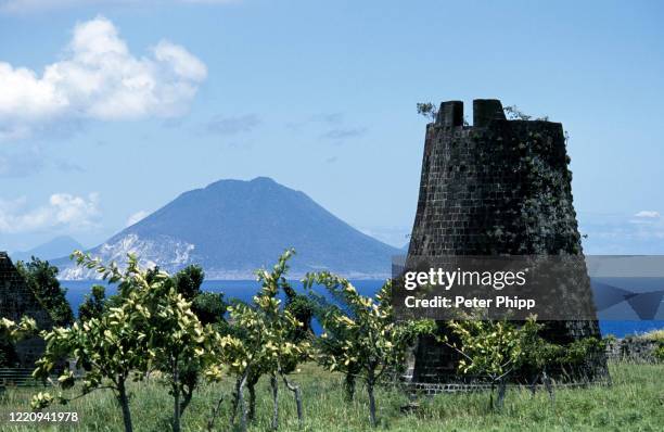 brick sugar beet oven - basseterre stock pictures, royalty-free photos & images