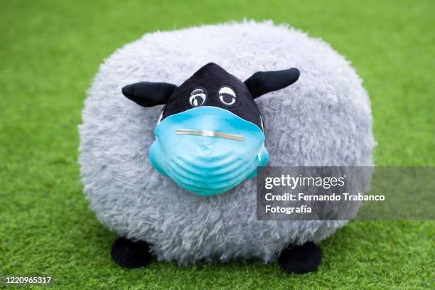 sheep with surgical mask - funny surgical masks stock pictures, royalty-free photos & images