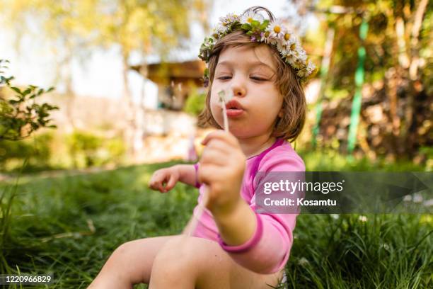 encantador niño soplando diente de león mientras ella está en el entrenamiento para ir al baño - girls peeing fotografías e imágenes de stock