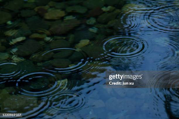 raindrops fall on the lotus pond - flaque photos et images de collection