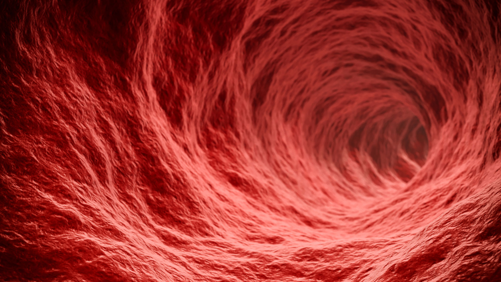 artery examination
