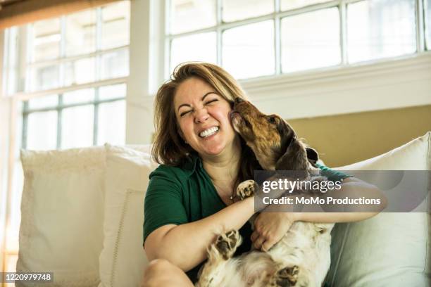 woman cuddling in bed with dog - euphoric female stock pictures, royalty-free photos & images