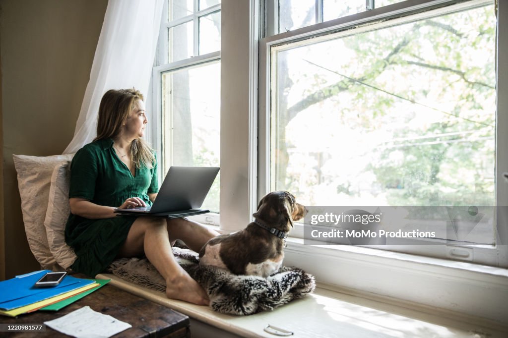 Woman working at home with dog