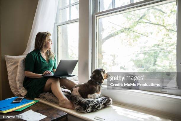 woman working at home with dog - pandemic illness stock pictures, royalty-free photos & images