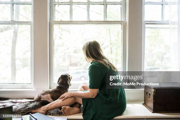 woman sitting in window with dog - ordem de ficar em casa imagens e fotografias de stock