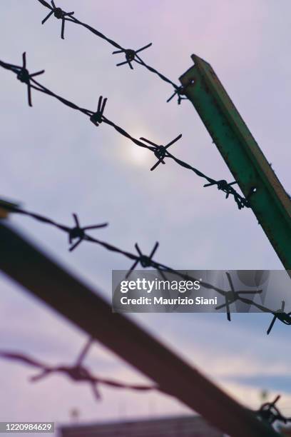 close-up of barbed wire against sky - nazism stock pictures, royalty-free photos & images