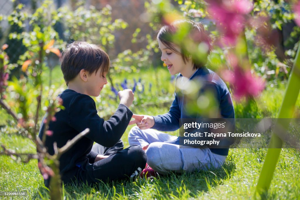 Two children, boy brothers, playing rock scissors paper game in garden