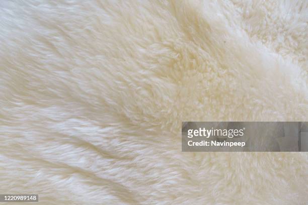 sheepskin carpet texture - sheepskin stock pictures, royalty-free photos & images