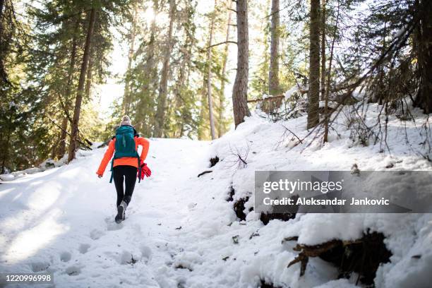 a woman hiking alone in the woods - winter hiking trail stock pictures, royalty-free photos & images