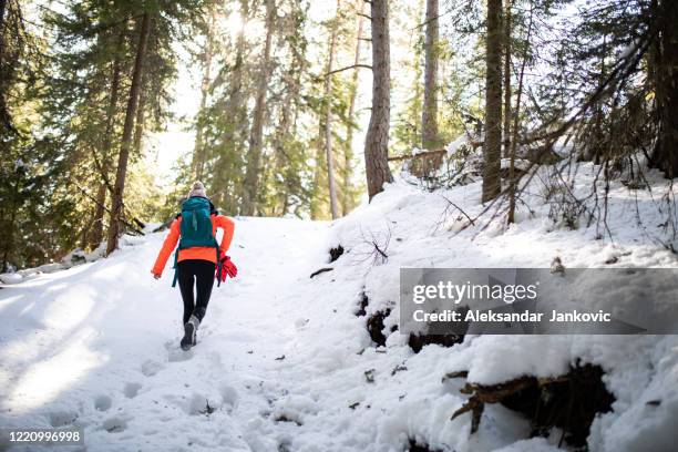 a woman hiking alone in the woods - snowshoeing stock pictures, royalty-free photos & images