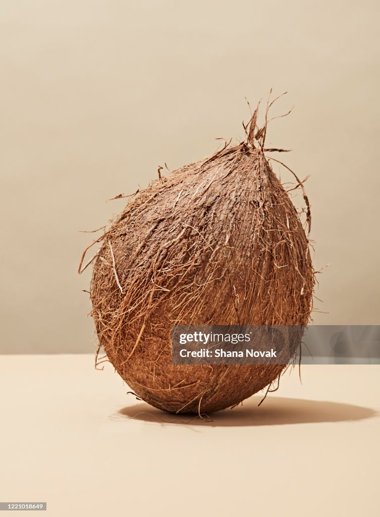 Whole Fresh Coconut