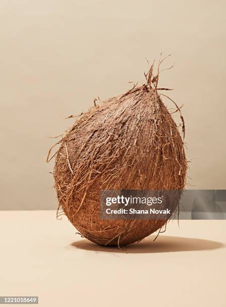 whole fresh coconut - coco fotografías e imágenes de stock