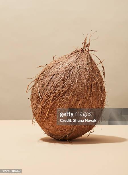 whole fresh coconut - coconut bildbanksfoton och bilder