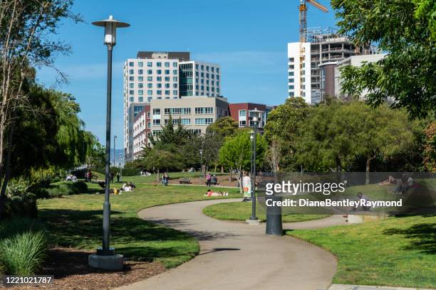 park in mission bay - false bay stock pictures, royalty-free photos & images