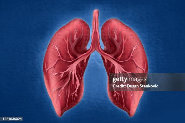 ilustraciones, imágenes clip art, dibujos animados e iconos de stock de pulmones humanos - breathing exercise