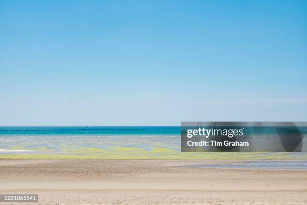 Seaweed forming geometric shapes on sandy beach at St Aubin's Bay, Jersey, Channel Isles.