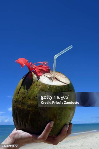 female hand holding coconut on the beach - seguro stock pictures, royalty-free photos & images