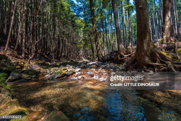 Cedar Tree Range Cedar Mountain Range Photos and Premium High Res Pictures - Getty Images