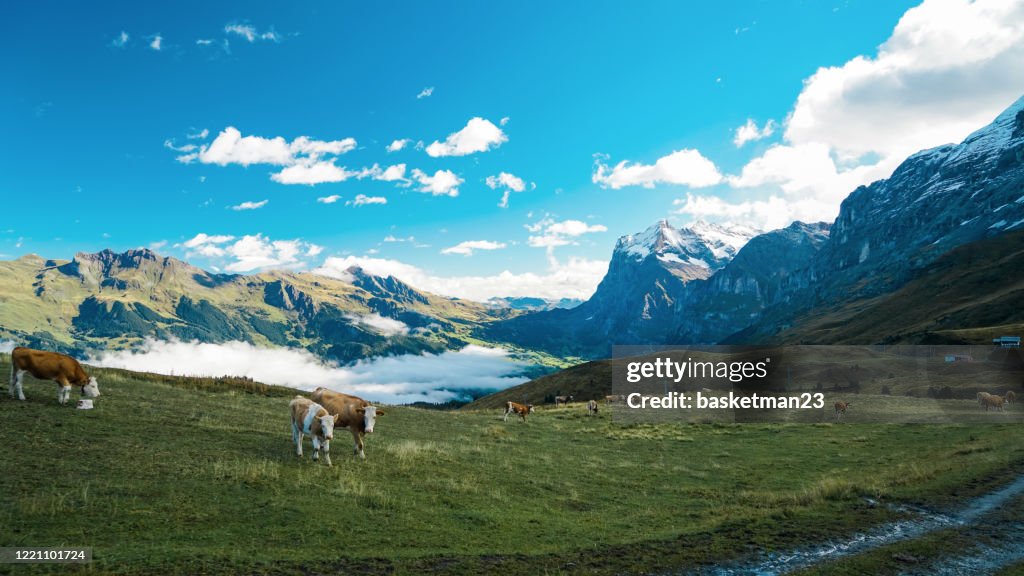Bachalpsee-First Grindelwald Switzerland