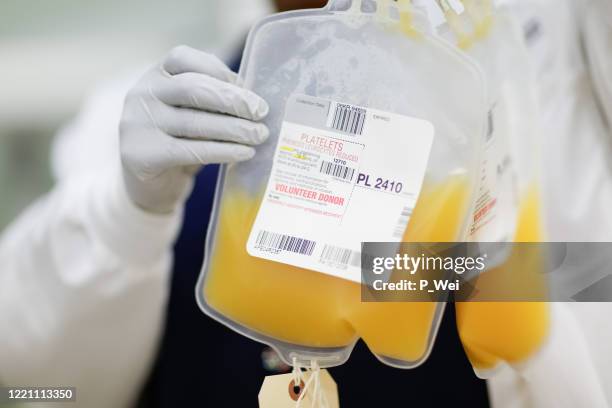 platelet donation for charity - plaqueta sanguínea imagens e fotografias de stock