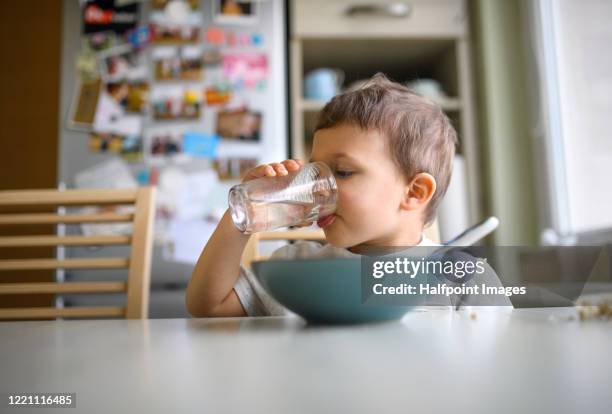 small boy sitting at the table indoors at home, drinking water when eating. - niño-tomando-agua fotografías e imágenes de stock