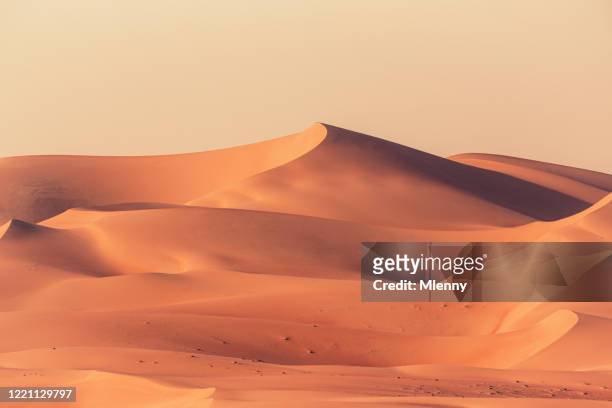 empty quarter dunas del desierto rub' al khali paisaje - paisaje árido fotografías e imágenes de stock