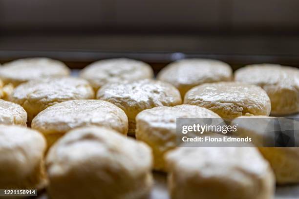 batch of scones lined up on a baking tray ready to be placed in oven for baking - scone stock pictures, royalty-free photos & images