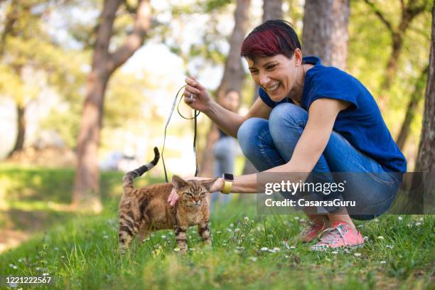 mulher adulta curtindo com seu gatinho em parque público - coleira para animais de estimação - fotografias e filmes do acervo