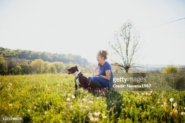 jonge vrouwenzitting met amerikaanse terriër staffordshire - american staffordshire terrier stockfoto's en -beelden