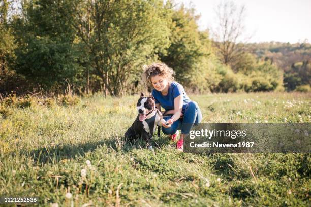 meisje dat met hond speelt - american staffordshire terrier stockfoto's en -beelden