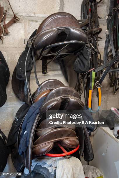 stack of saddles in a tack room - sattel und zaumzeug stock-fotos und bilder