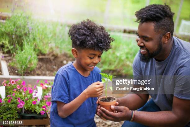 african-american father showing son potted seedling at plant nursery - father and children volunteering stock pictures, royalty-free photos & images