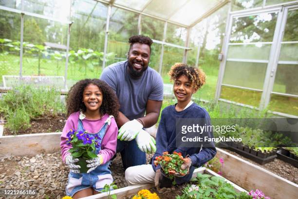 portrait of happy single african-american father with two kids holding potted flowers at greenery - father and children volunteering stock pictures, royalty-free photos & images