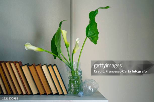 recycling of plastic material - calla lilies white stock pictures, royalty-free photos & images
