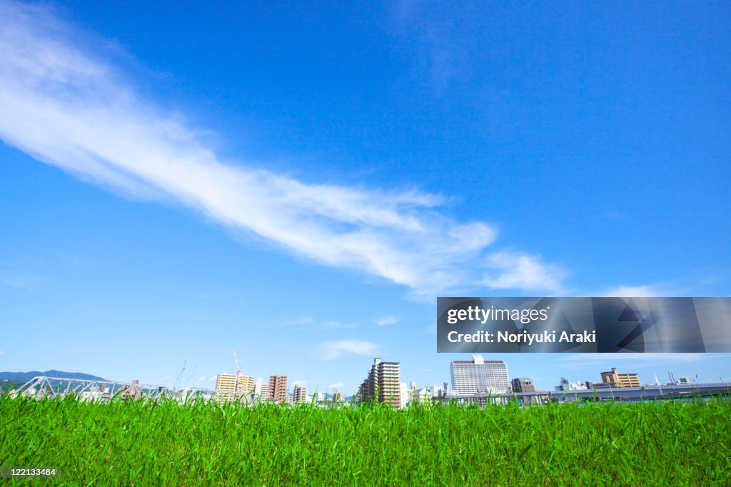 Grassland and town