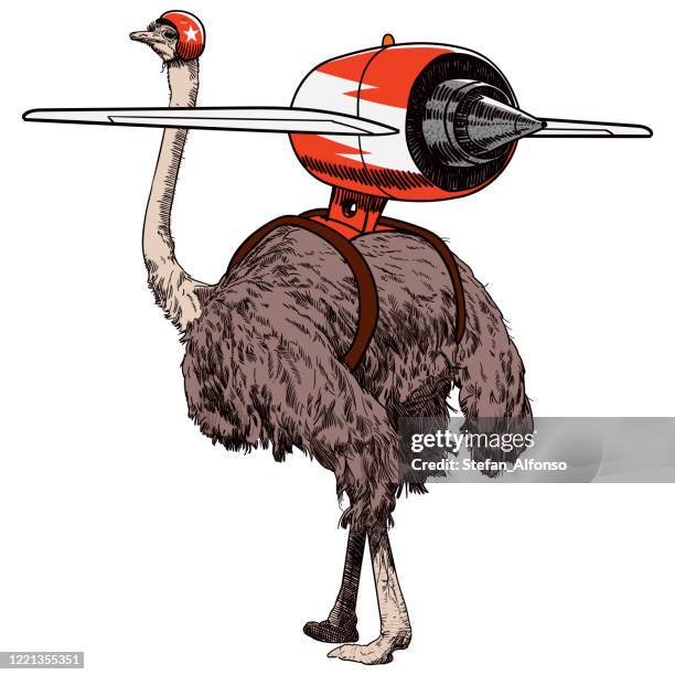 jet pack ostrich - stunt person stock illustrations